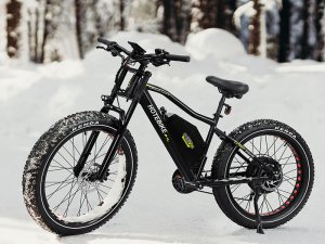 26″ 1000W Fat Tire Ebike for Adults 48V 24Ah Removable Battery - Spring Sale in the USA - 4