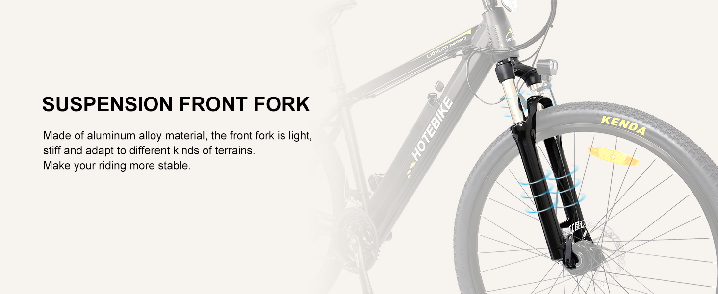 Electric Bike Dual Suspension Mountain Bike - Fat Tire Electric Bike - 5
