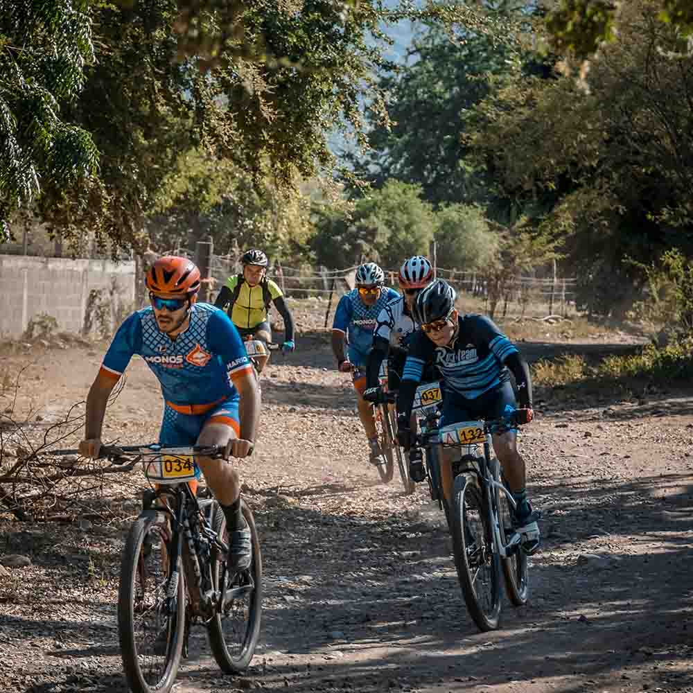 Entdecken Sie die Vorteile, die Radfahren im Jahr 2024 bringen kann