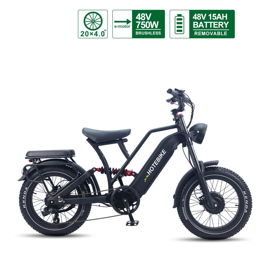 Electric Bike for Adults Dirt Bike with 20″ Fat Tire 750W All-Terrain Ebike