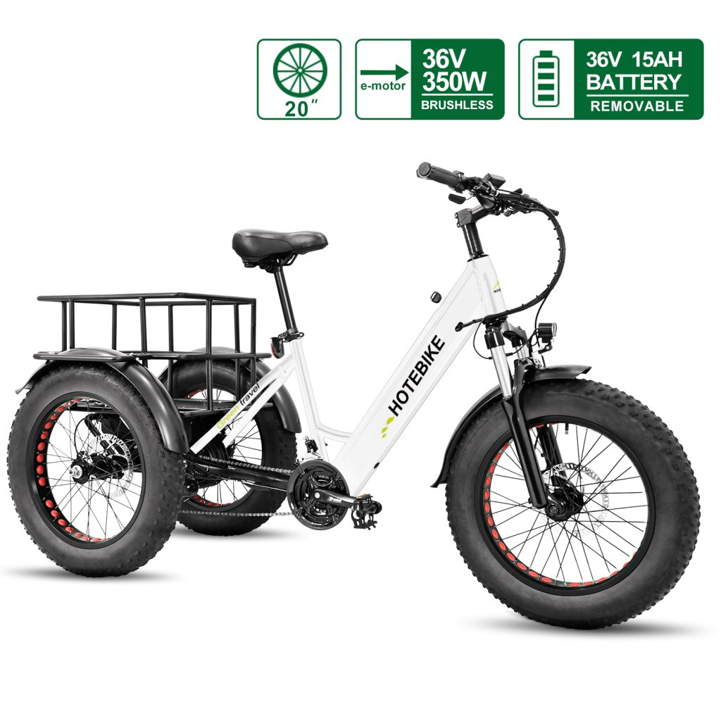 3 Wheel Electric Bike 20 inch 350W Fat Tire Electric Tricycle