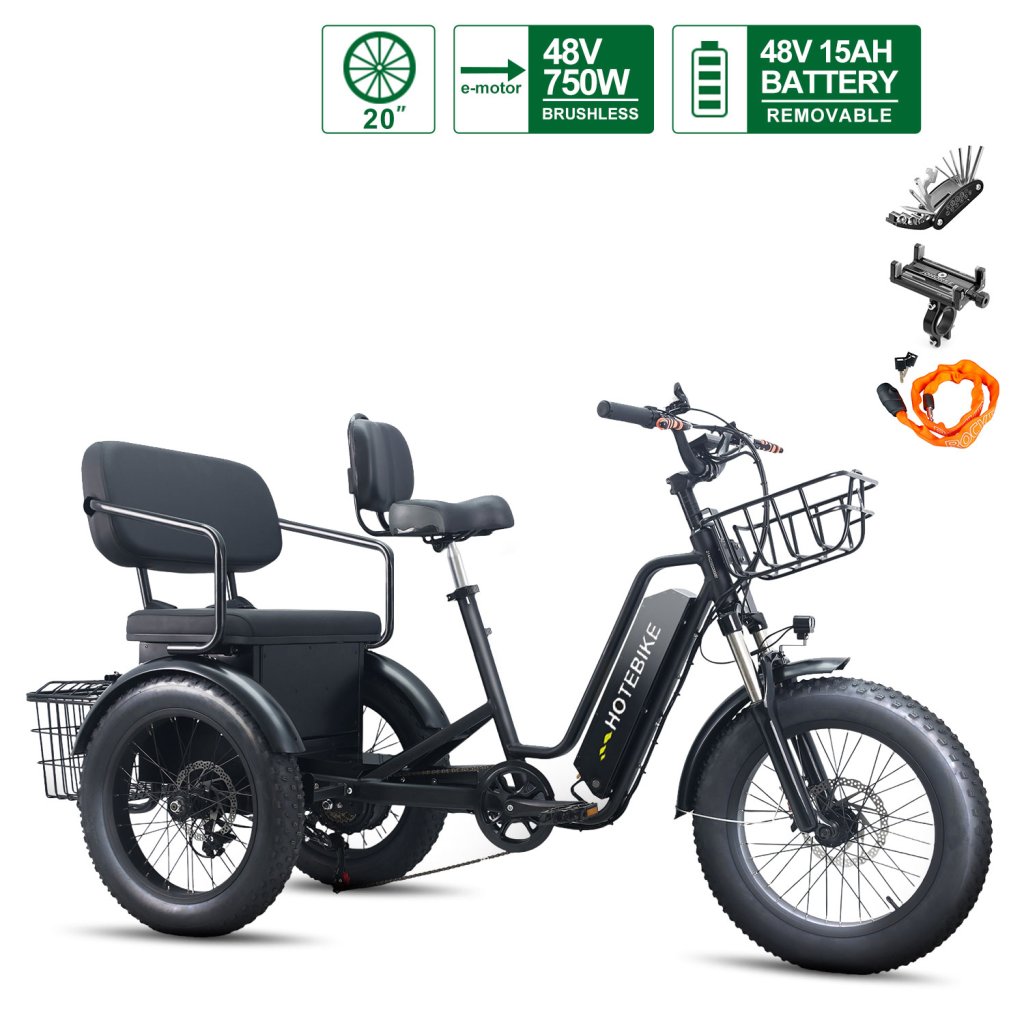 Electric Tricycle for Adults 48V 15AH Heavy-Duty Cargo Transport