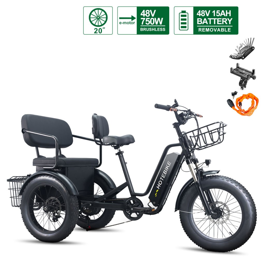 Electric Tricycle for Adults 48V 15AH Heavy-Duty Cargo Transport