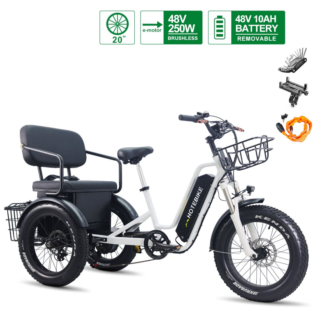 Electric Tricycle for Adults Fat Tire 3-Seat E-Trike with 36V 250W Differential Rear Motor