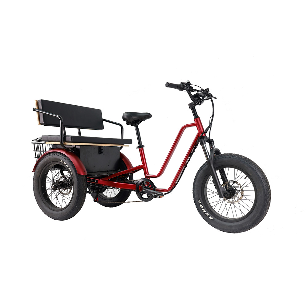 Electric Tricycle for Adults Fat Tire 3-Seat E-Trike with 36V 250W/350W Differential Rear Motor