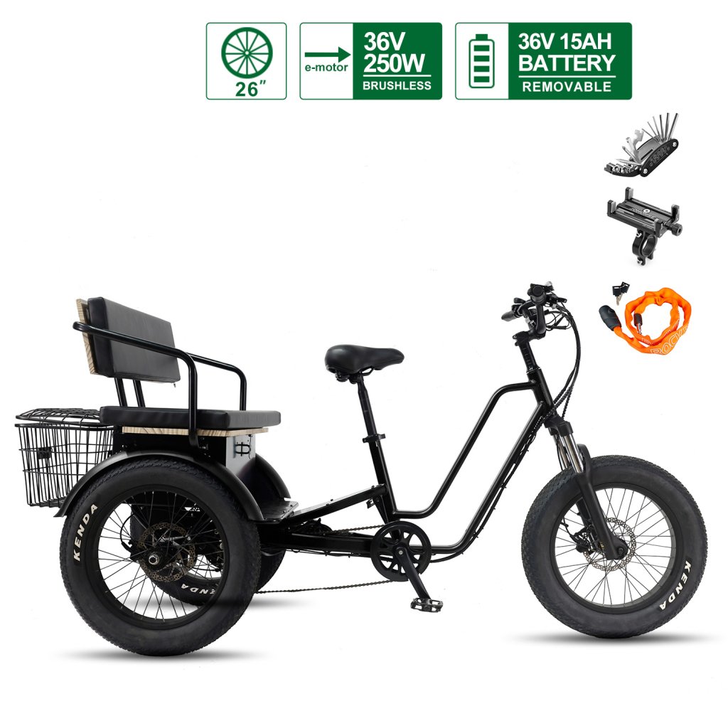 Electric Tricycle for Adults Fat Tire 3-Seat E-Trike with 36V 250W/350W Differential Rear Motor