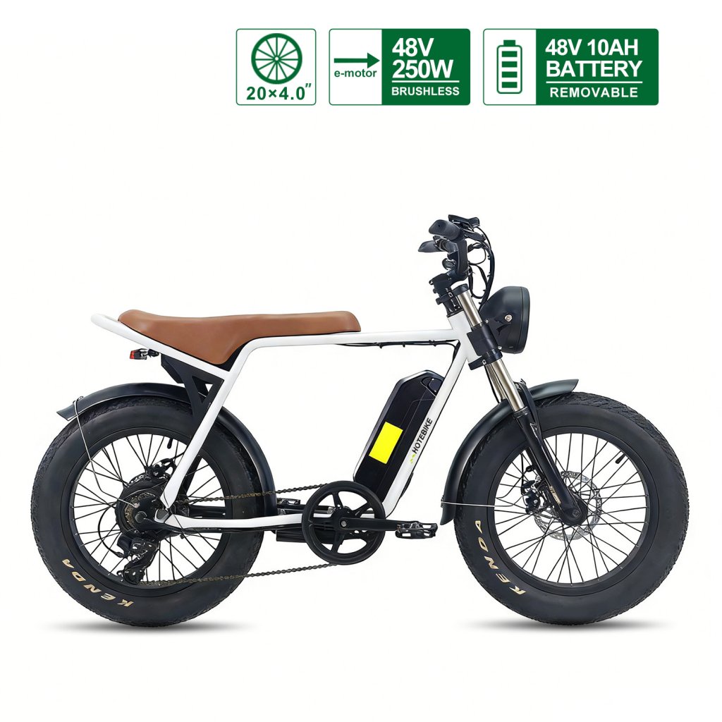 Best Fat Tire Electric Bikes with 48V 10Ah Removable Battery